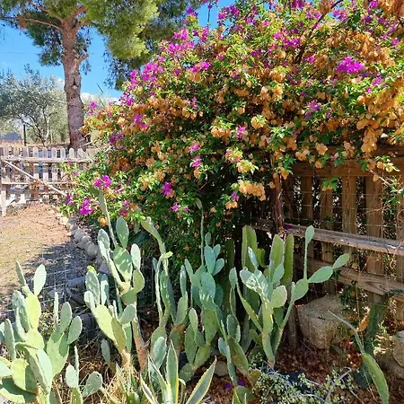 Sunset Valley Village Lejlighed